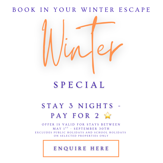 White Gold Minimalist Special Offers Instagram Post